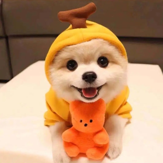 Cute Dog Clothes